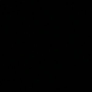 Meet your Posher, Lee